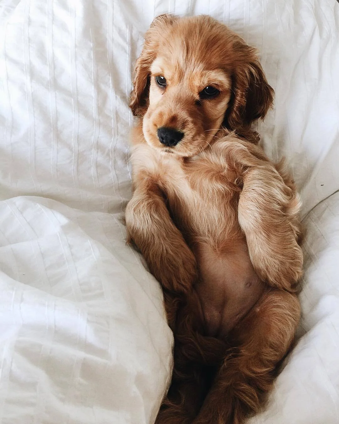 grace–upon–grace:Maple and Lacie