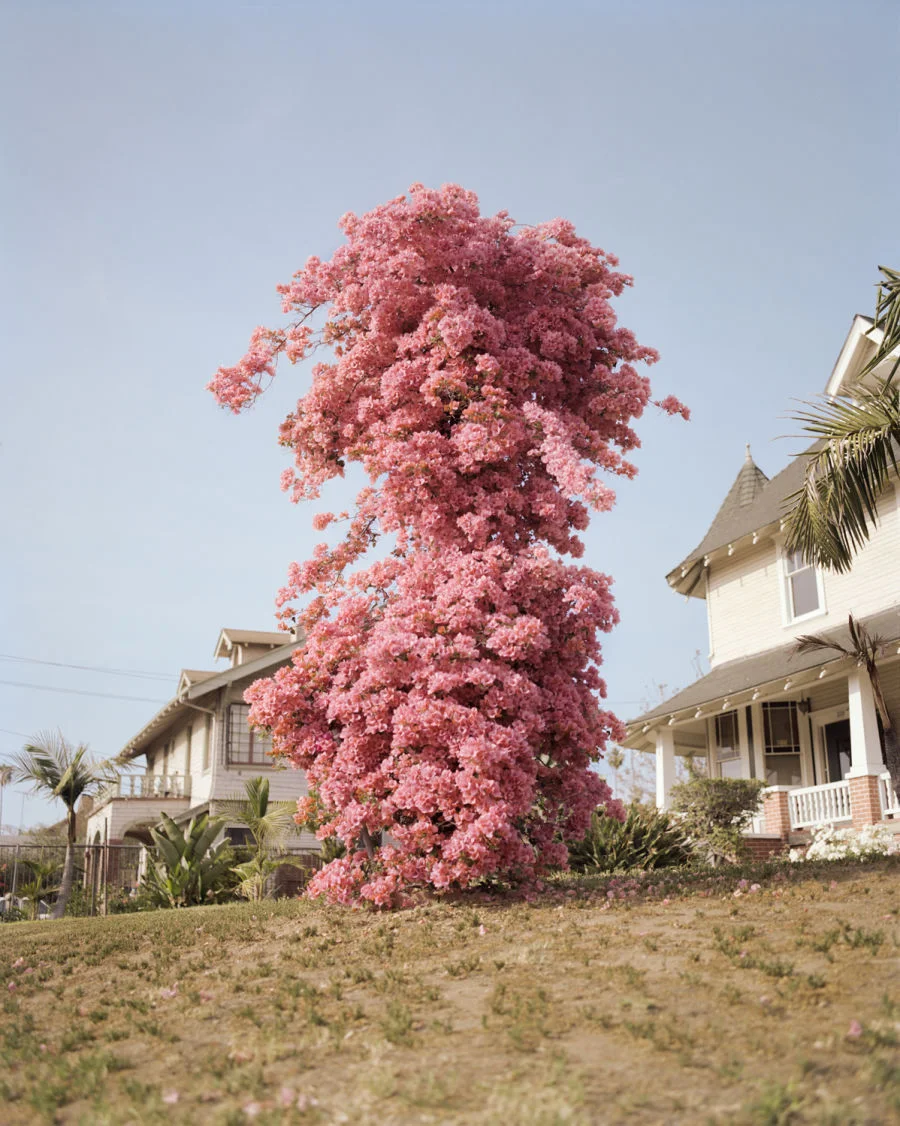lesthetiquedelinventaire:Outtake from ZZYZX by Gregory Halpern 