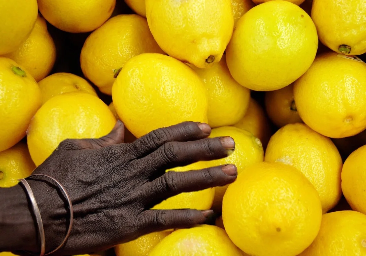 milkstudios:

When Life Hands You Lemons… 