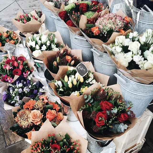 tumblr_nz7ofch91X1tpsohxo1_640.jpg