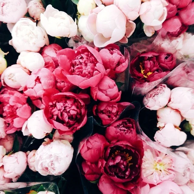 words-of-emotion:

 