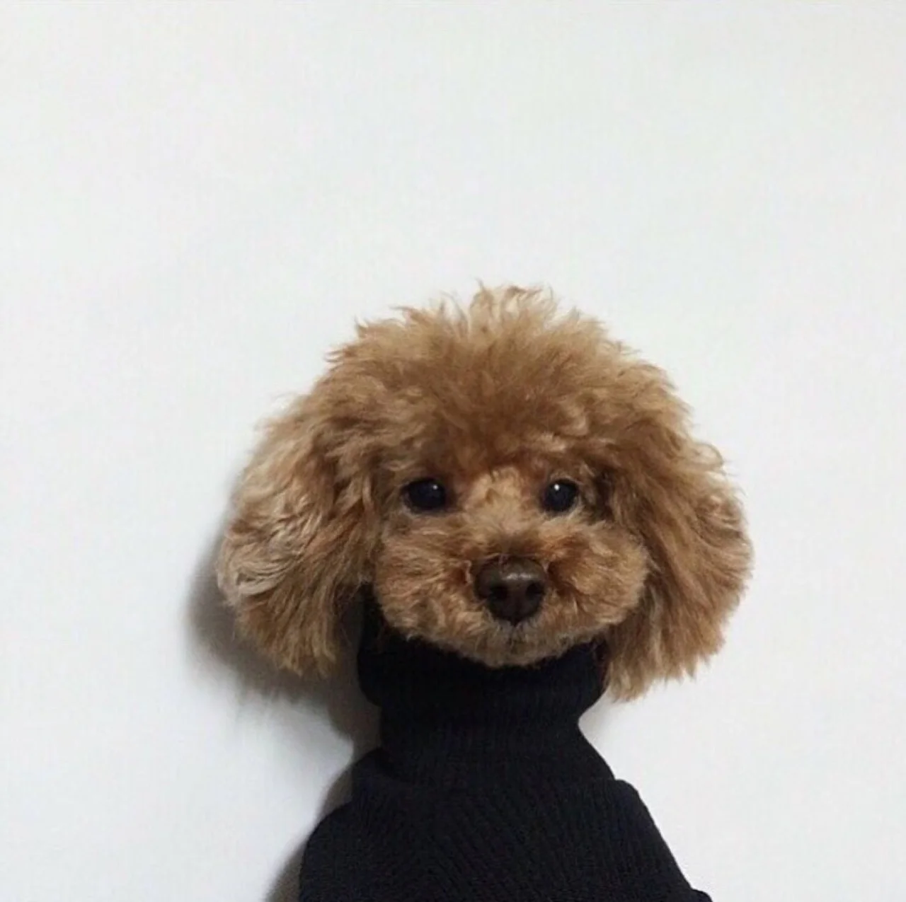 acehotel:

Happy winter, babies.