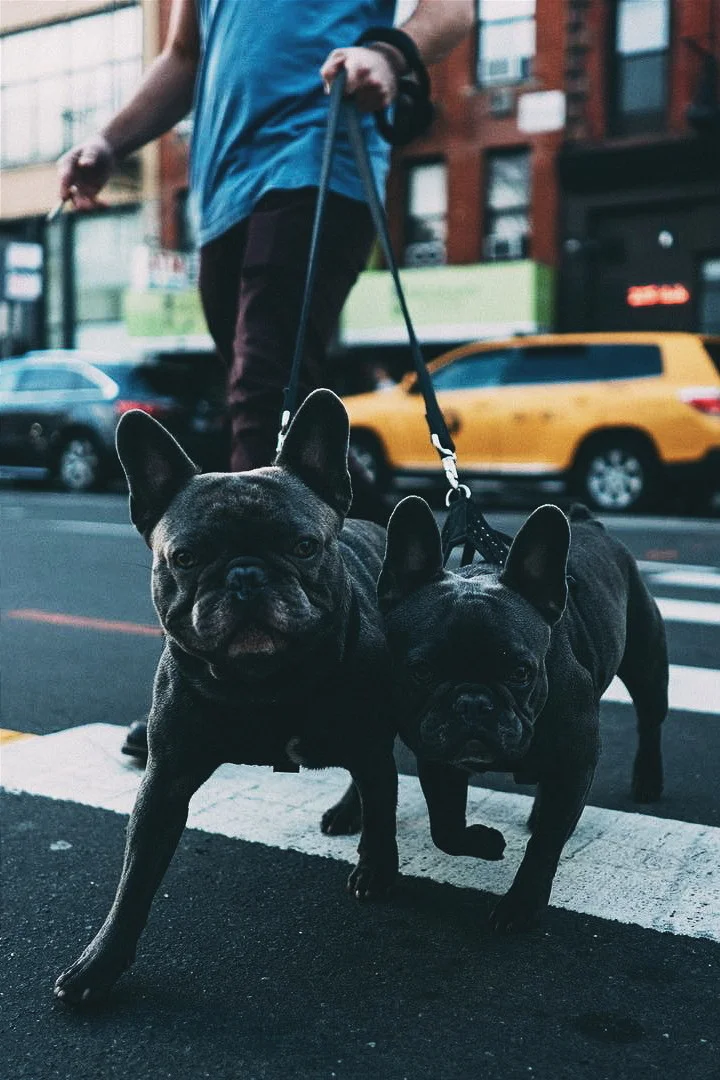 ikwt:

Partners In Crime (1st) | instagram