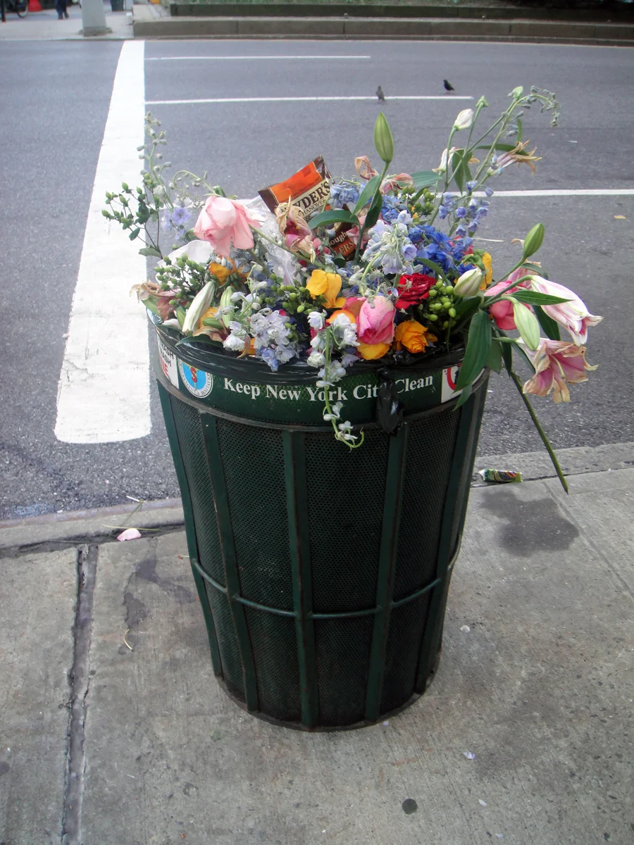 tumblr_lquzm0slbu1qavixao1_1280.jpg