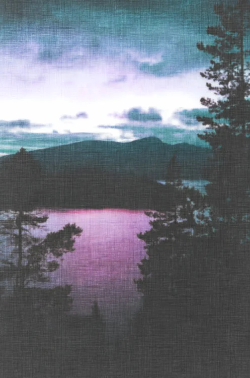 tumblr_njhbqmS5JH1rlt5o0o1_500.jpg