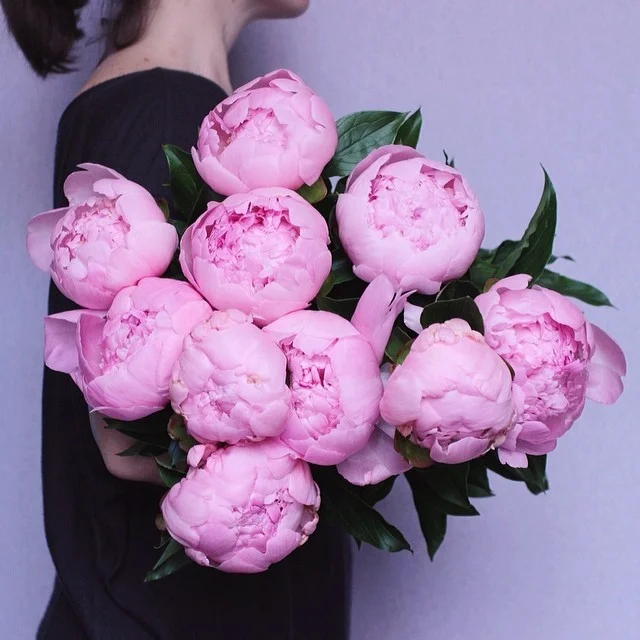 tumblr_n92oc8IweR1rtuswmo1_640.jpg
