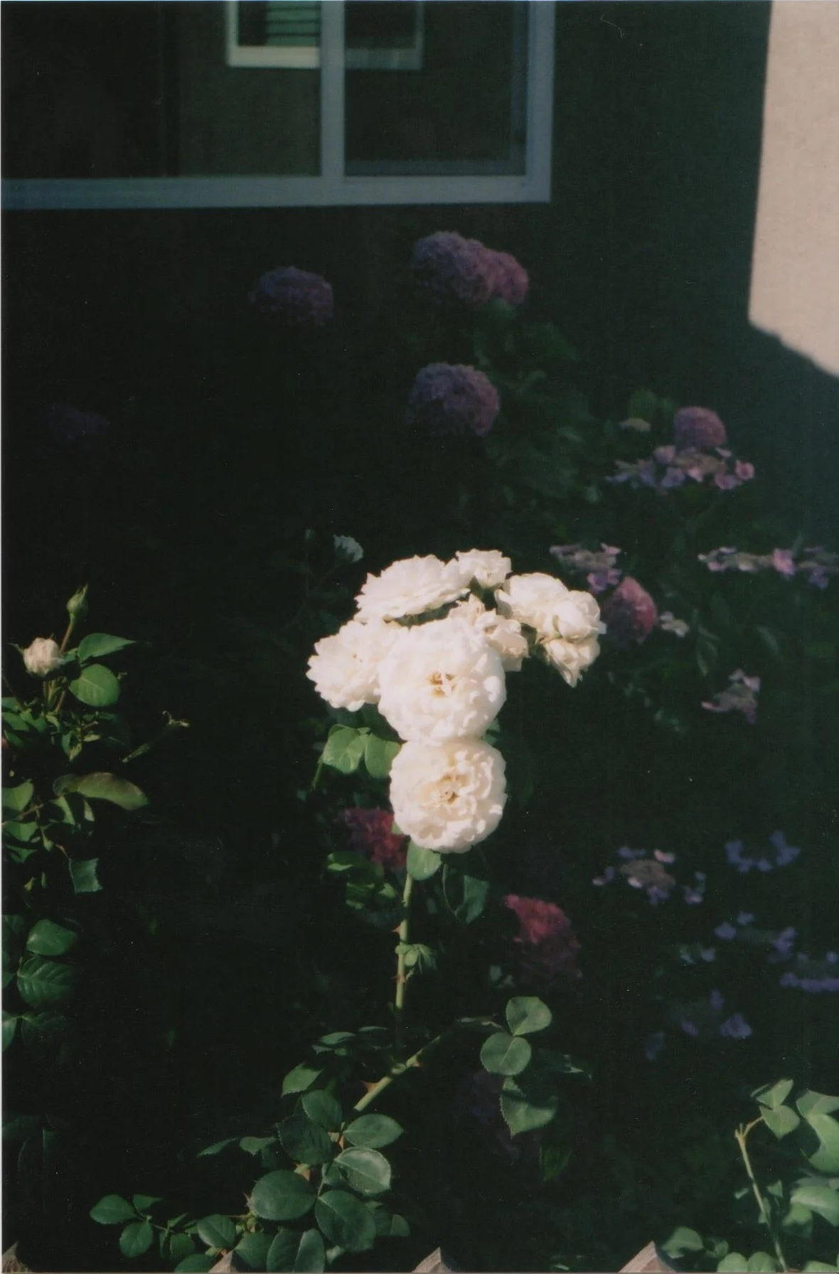 tumblr_n71oui3JeF1qdam3zo1_1280.jpg