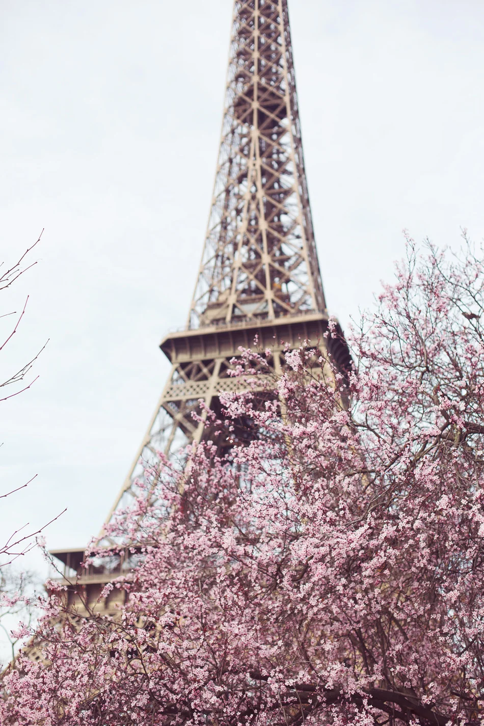 tumblr_n239y949Jm1qbwiabo1_1280.jpg