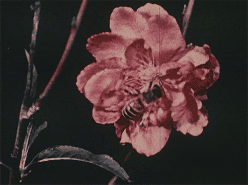 tumblr_mvn0sn77Ti1qb5tu1o1_500.gif