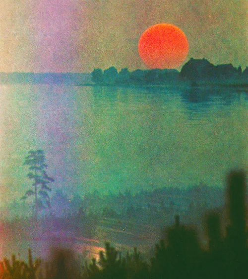 tumblr_mqphvhxSRo1qz4d4bo1_500.jpg