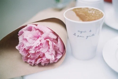 tumblr_mj42v3aA2I1qjy5heo1_500.jpg
