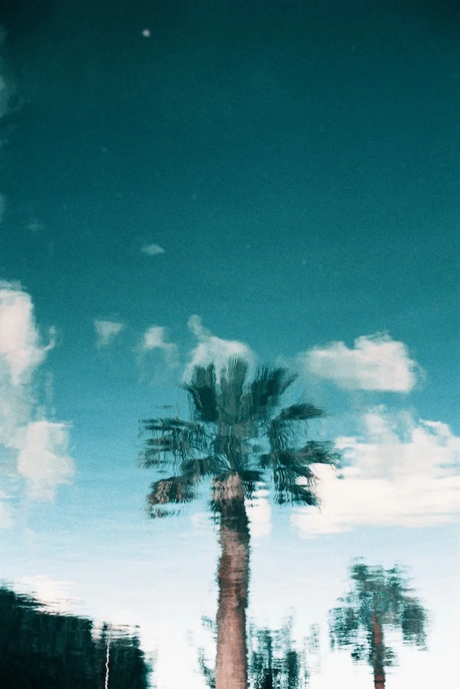 tumblr_mq623qOtPT1r09f27o1_1280.jpg