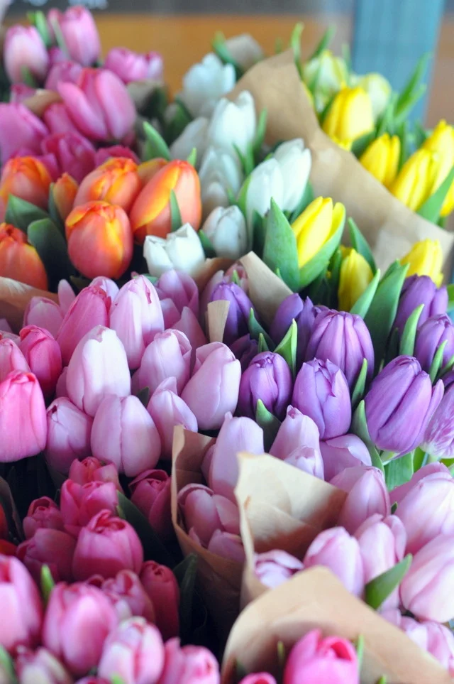 tumblr_mk9x0ws3st1qgfhmwo1_1280.jpg