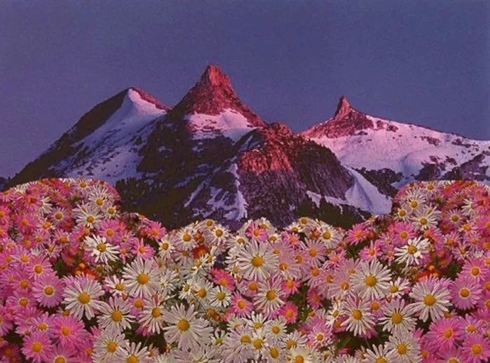 tumblr_mfwj46cghm1r09f27o1_1280.jpg