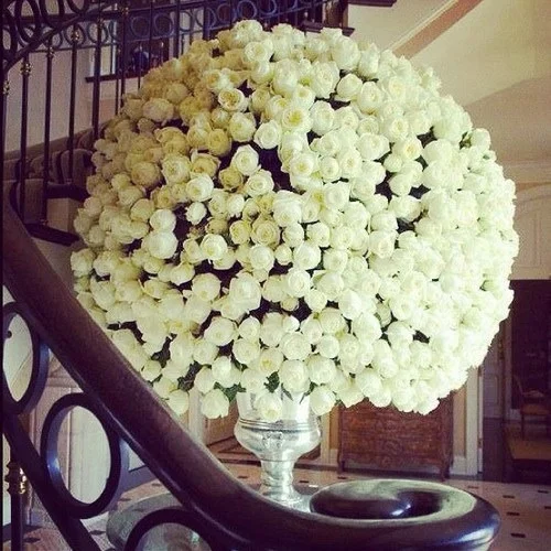 tumblr_md3ajqsTVF1rb86ldo1_500.jpg