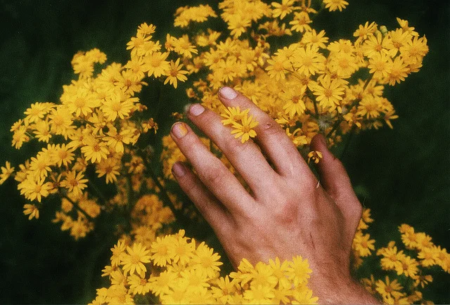 tumblr_mdutuyb4Fm1qco7p4o1_640.jpg