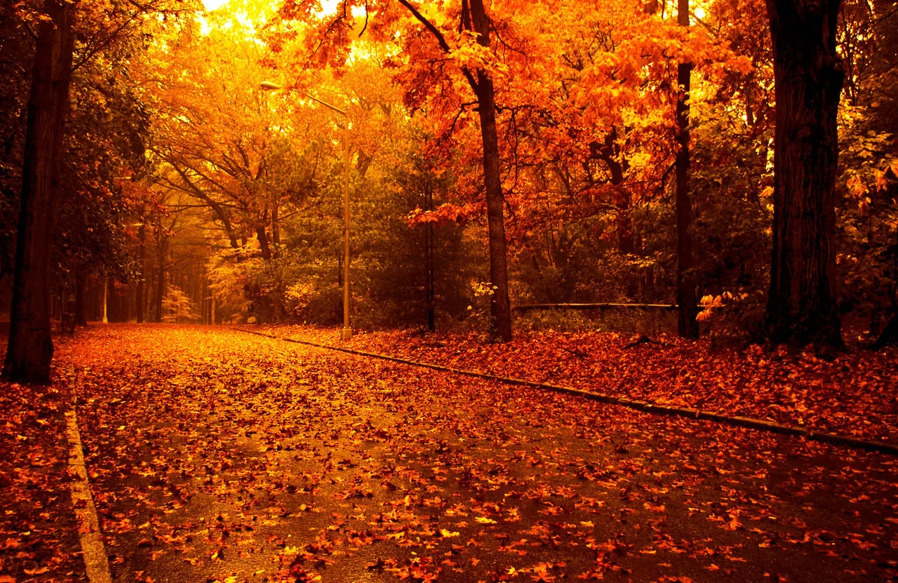 tumblr_md0sriPi6E1rto5n3o1_1280.jpg