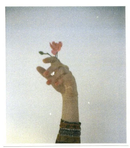 tumblr_m3oh21R5Bn1rs5xhso1_500.jpg