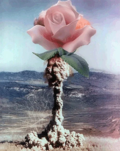 tumblr_ltzzvl5Kse1qfsee9o1_500.jpg