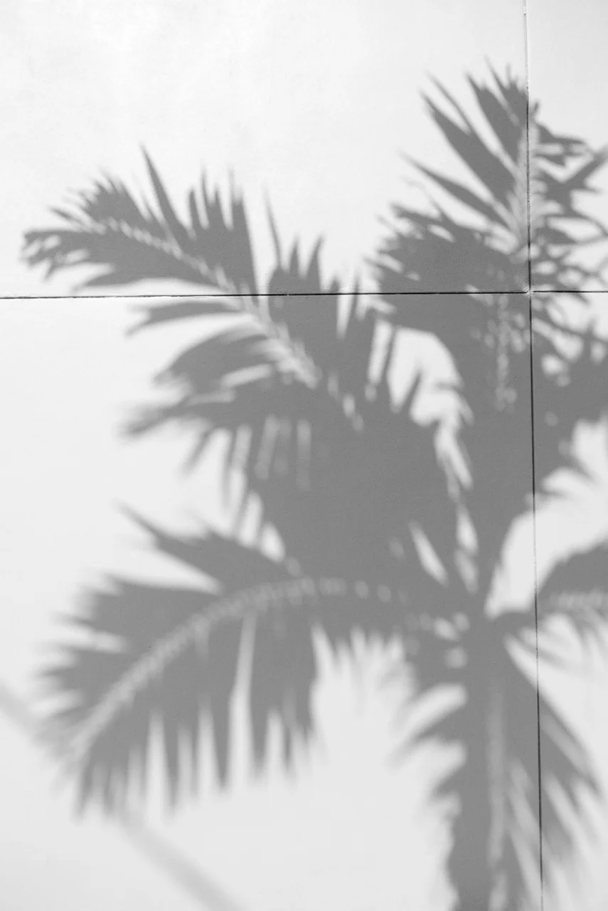 tumblr_lwmmmqet4P1qa42jro1_1280.jpg