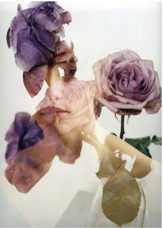 tumblr_m58e6iEAiF1r09f27o1_640.jpg
