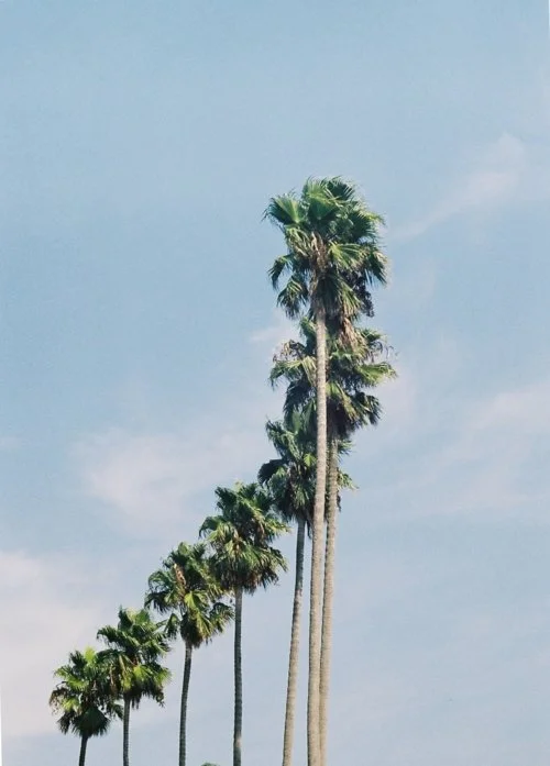tumblr_m4hvs1HMoc1qcs3czo1_500.jpg