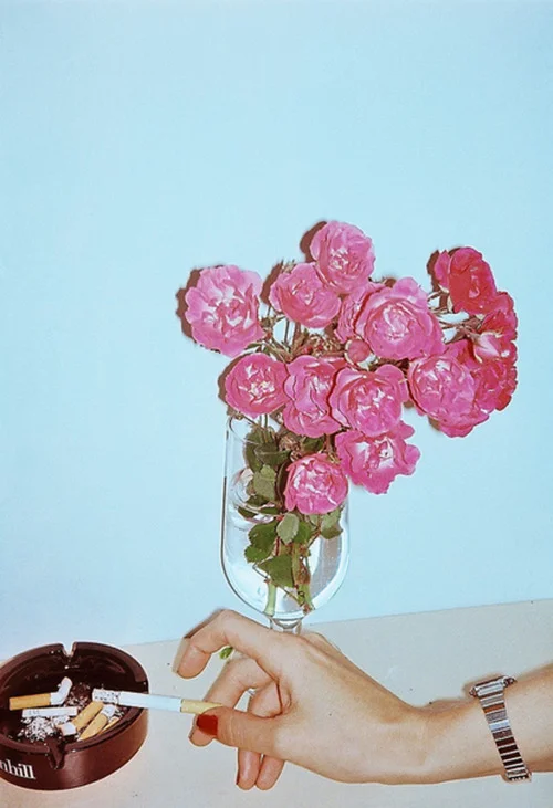 tumblr_m2xssi7p261ruvhi3o1_500.jpg
