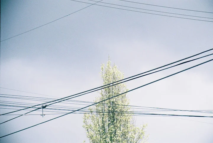 tumblr_m23mh7EhUw1qf4vtzo1_r5_1280.jpg