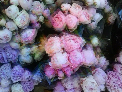 tumblr_m1mro5byKW1rorc6eo1_500.jpg