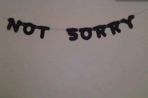 tumblr_m1h1d3Zxnb1qhp5c1o1_500.jpg