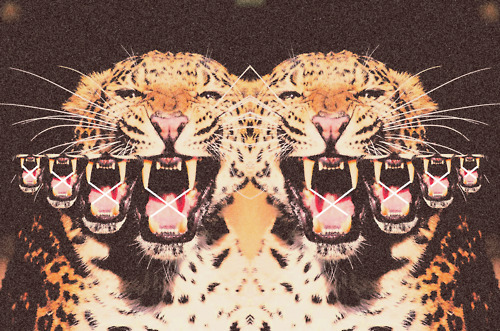 tumblr_m0sn2fHpKR1r09f27o1_500.jpg