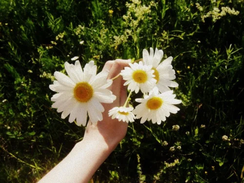 tumblr_m031idlhew1rorc6eo1_500.jpg