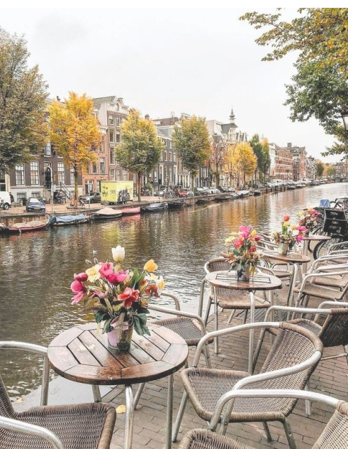 windowwall-salon-style-blog-portland-oregon