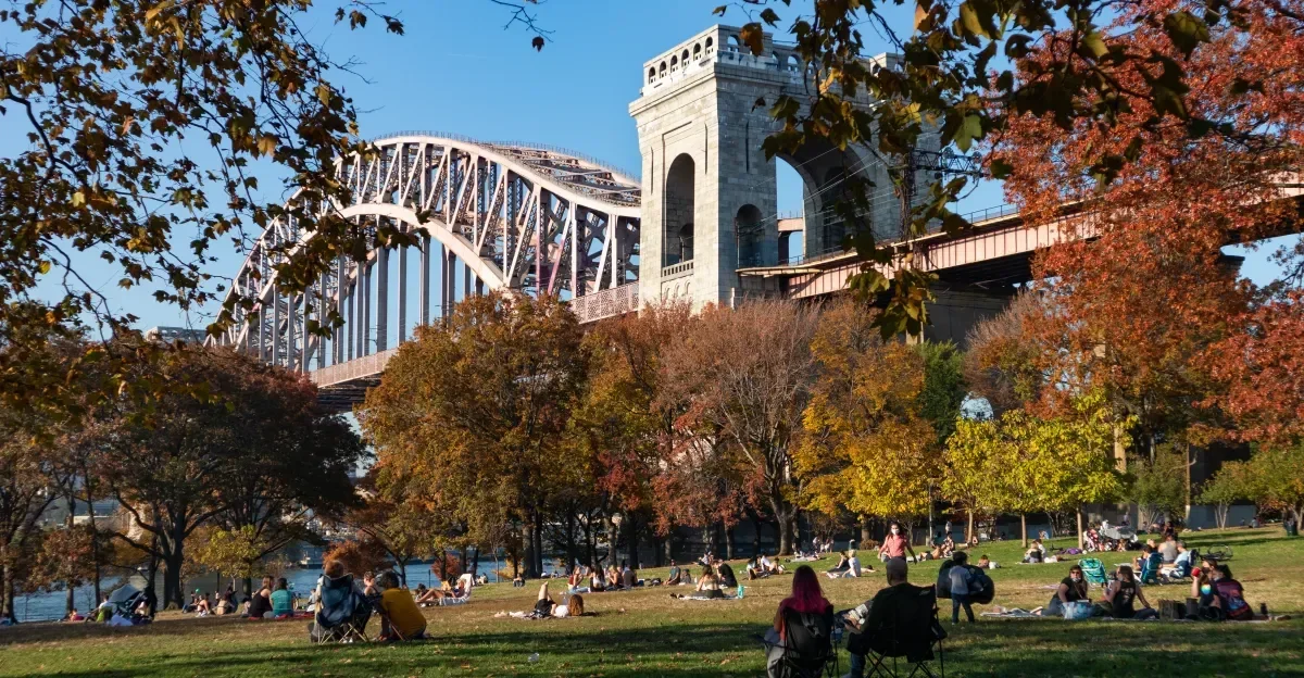 People relaxing and socializing in a park with autumn trees in front of the Sydney Harbour Bridge in Australia.