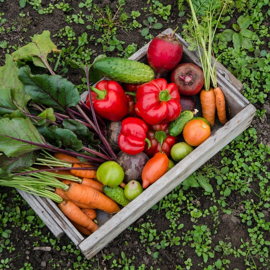 What&rsquo;s the trick to buying the most flavorful and nutrient-dense veggies and fruits? 👉 BUYING WHAT&rsquo;S IN SEASON.⁠
⁠
👉 Check out this list of veggies and fruits that are making their yearly debut during 🌸 SPRING 🌸 &mdash; enjoy them wit