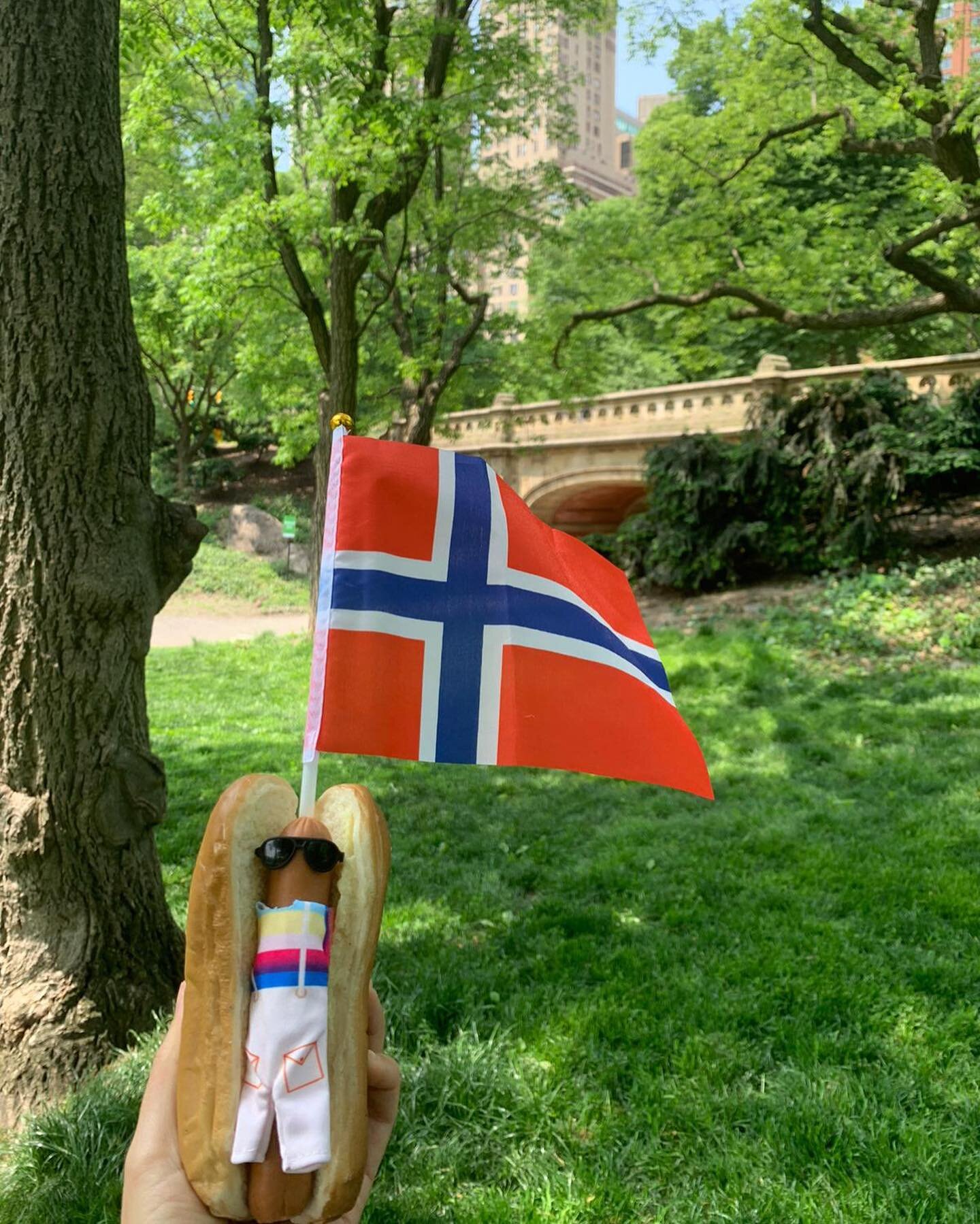 Did you know that Norway&rsquo;s traditional costume is called a BUNAD?⁠
It&rsquo;s what makes Norwegians &quot;Norwegian&quot; &mdash; and you will never see more people wearing them than on this day 👉 Norway&rsquo;s Constitution Day!⁠
⁠
🇳🇴 Our s