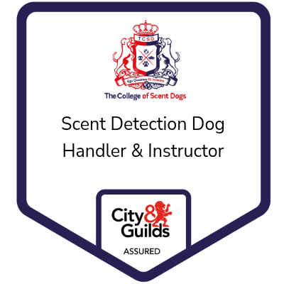 Lee Rand, City & Guilds qualified Scent Detection Dog Handler and Instructor