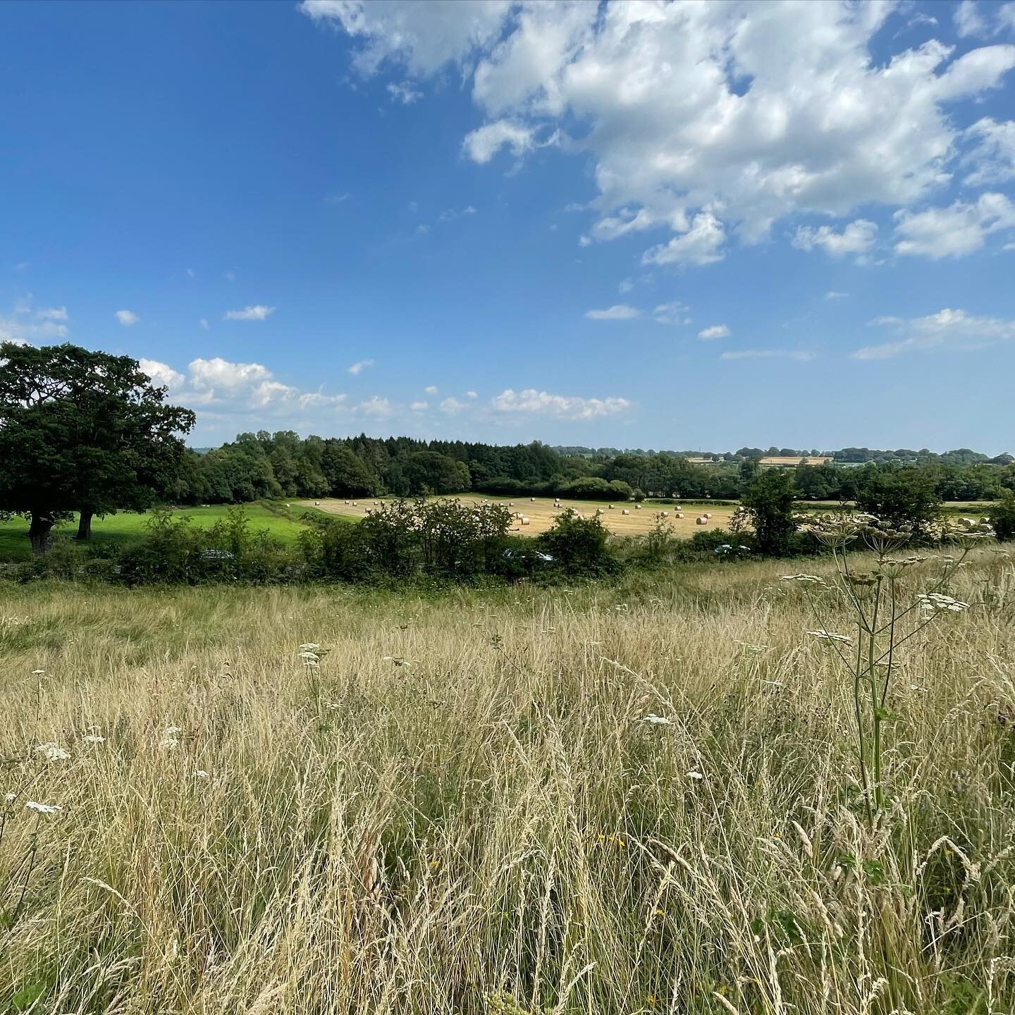 Not a bad spot for a gorgeous new modern family home! This little development of one house has it all going on 5m cantilevers, alterations to a trunk road and some ambitious SUDs on the drawing board. #staticdynamicportfolio #currentproject #structur