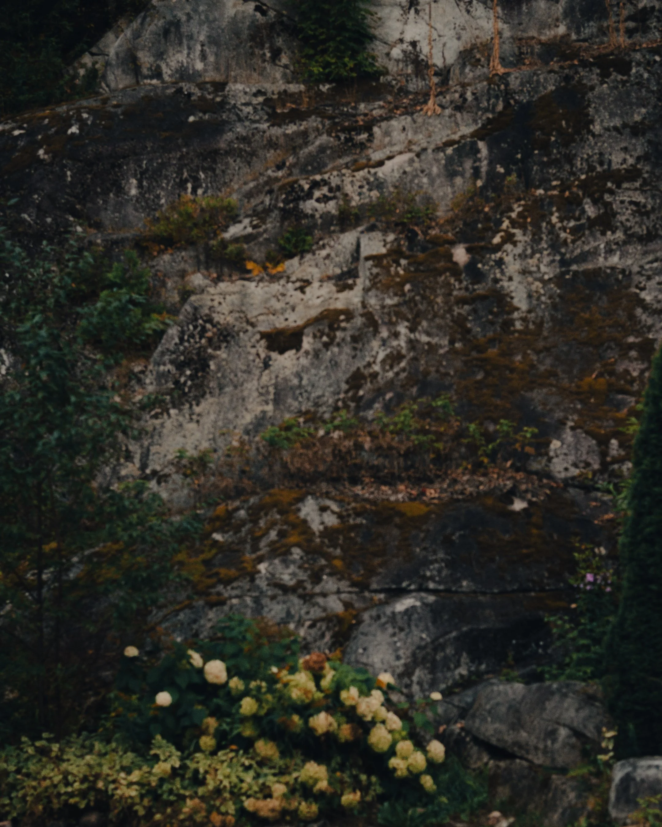 sl_hinter033.jpg