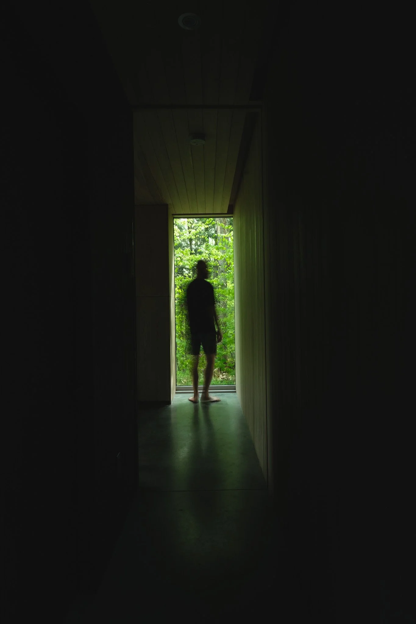 A person standing in a dark hallway near an open door, looking out to lush green foliage outside.