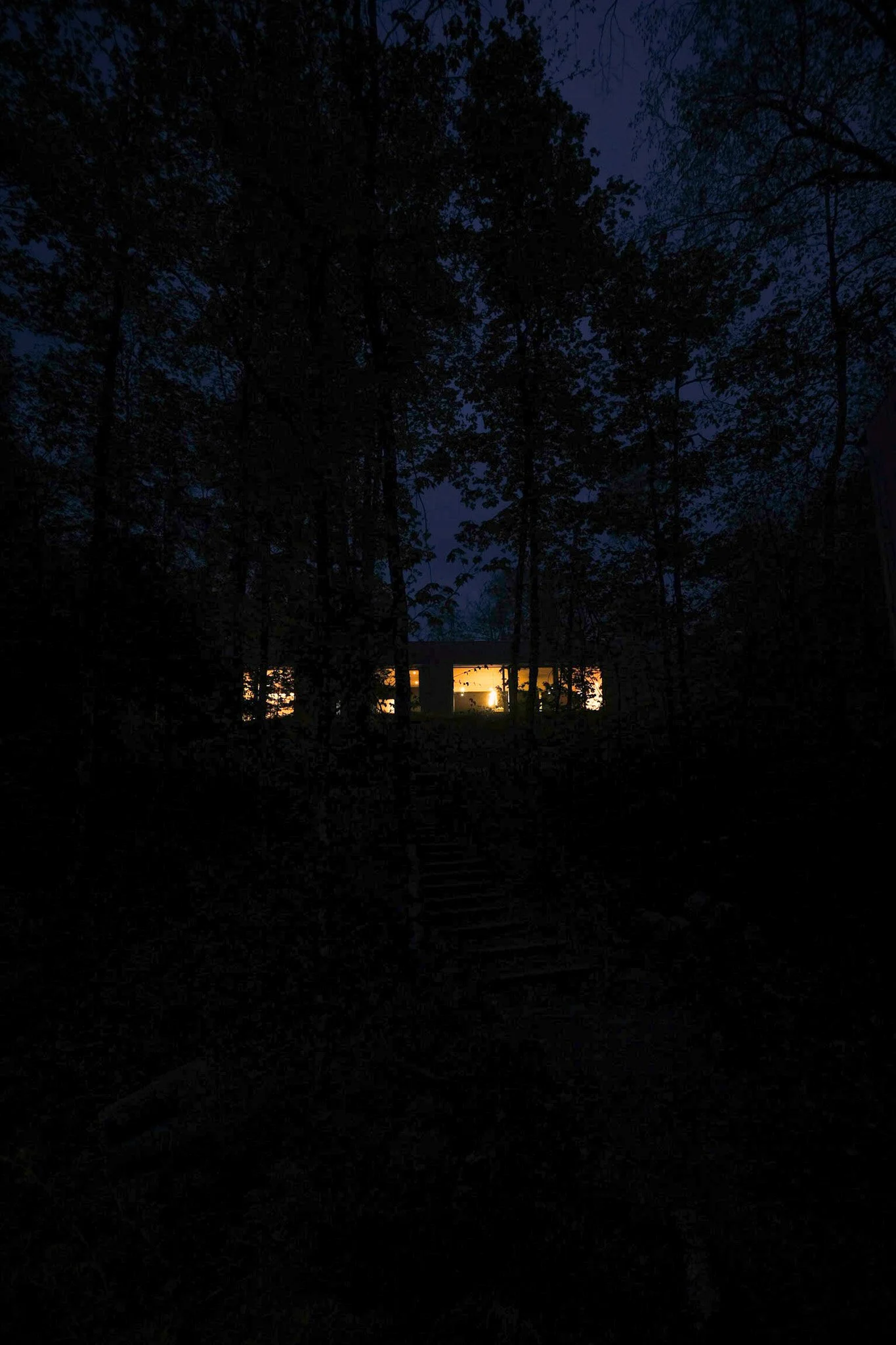Nighttime outdoor scene with a house illuminated in the distance, surrounded by trees and a dark sky.