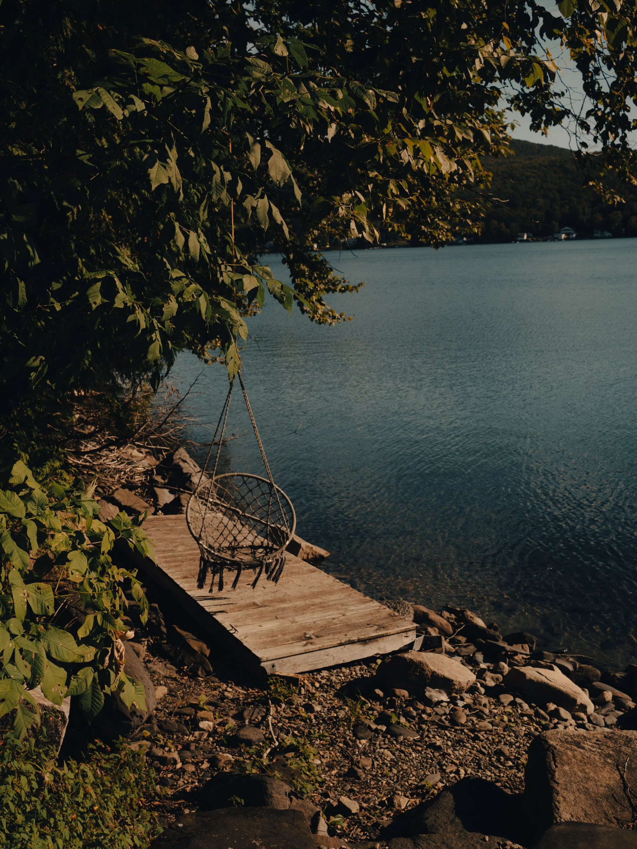 sl_hinter003.jpg