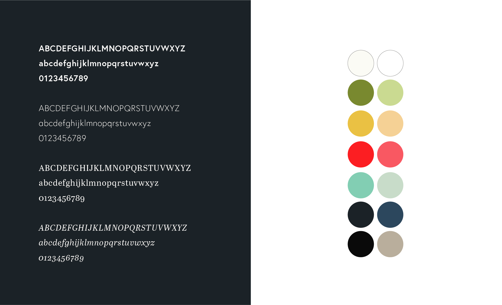 CCSM_Portfolio-04.png