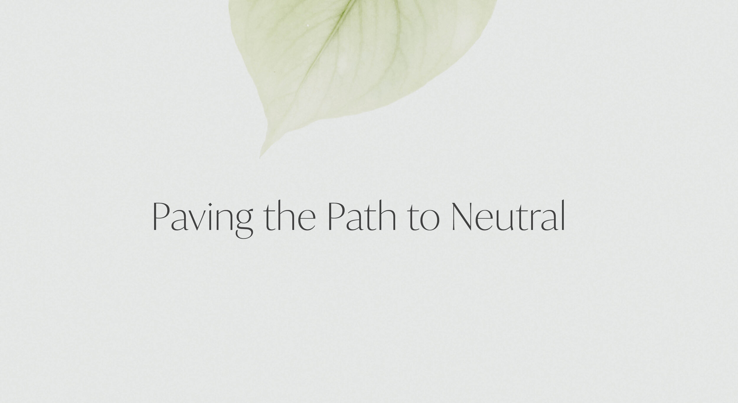 NeutralProject_Branding5.jpg