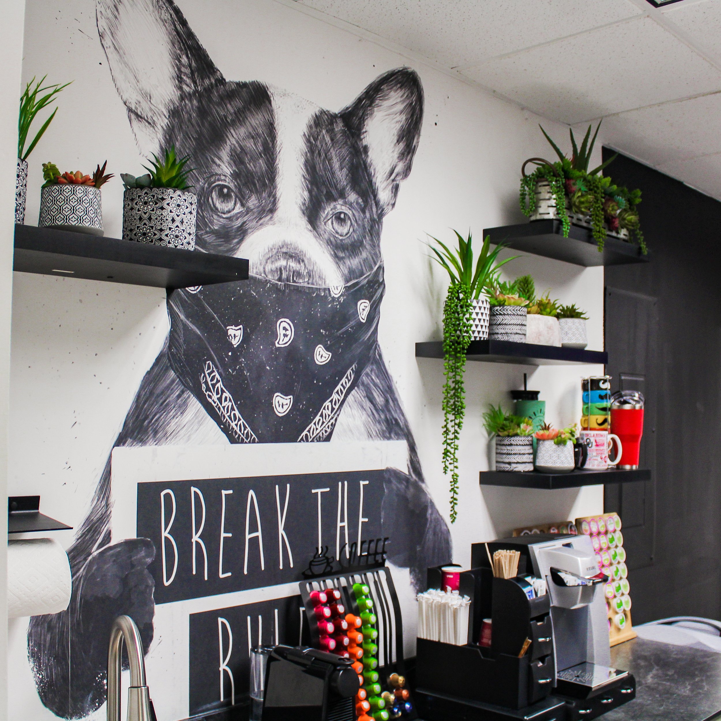 Designed Office Spaces