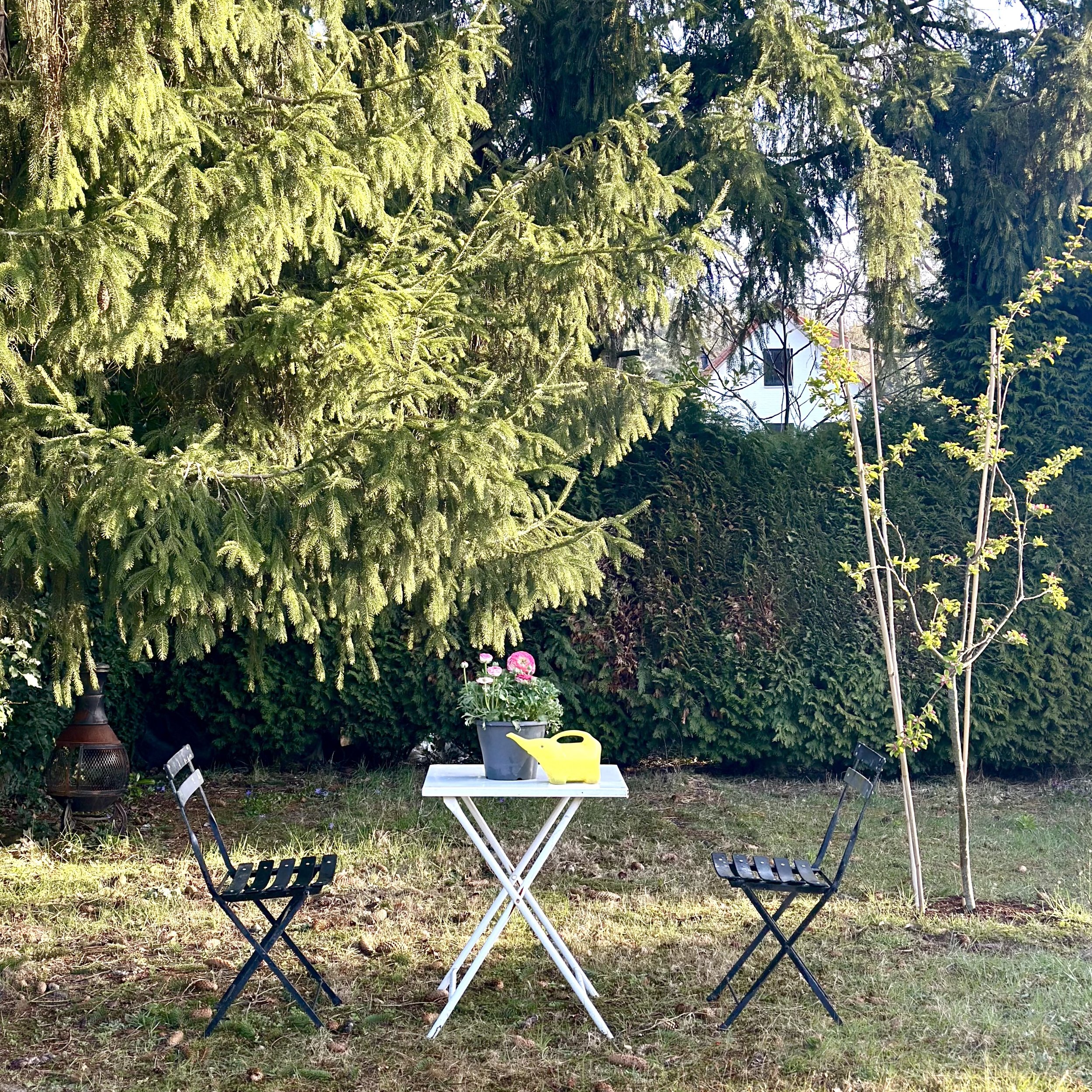 unseen garden 10.jpg