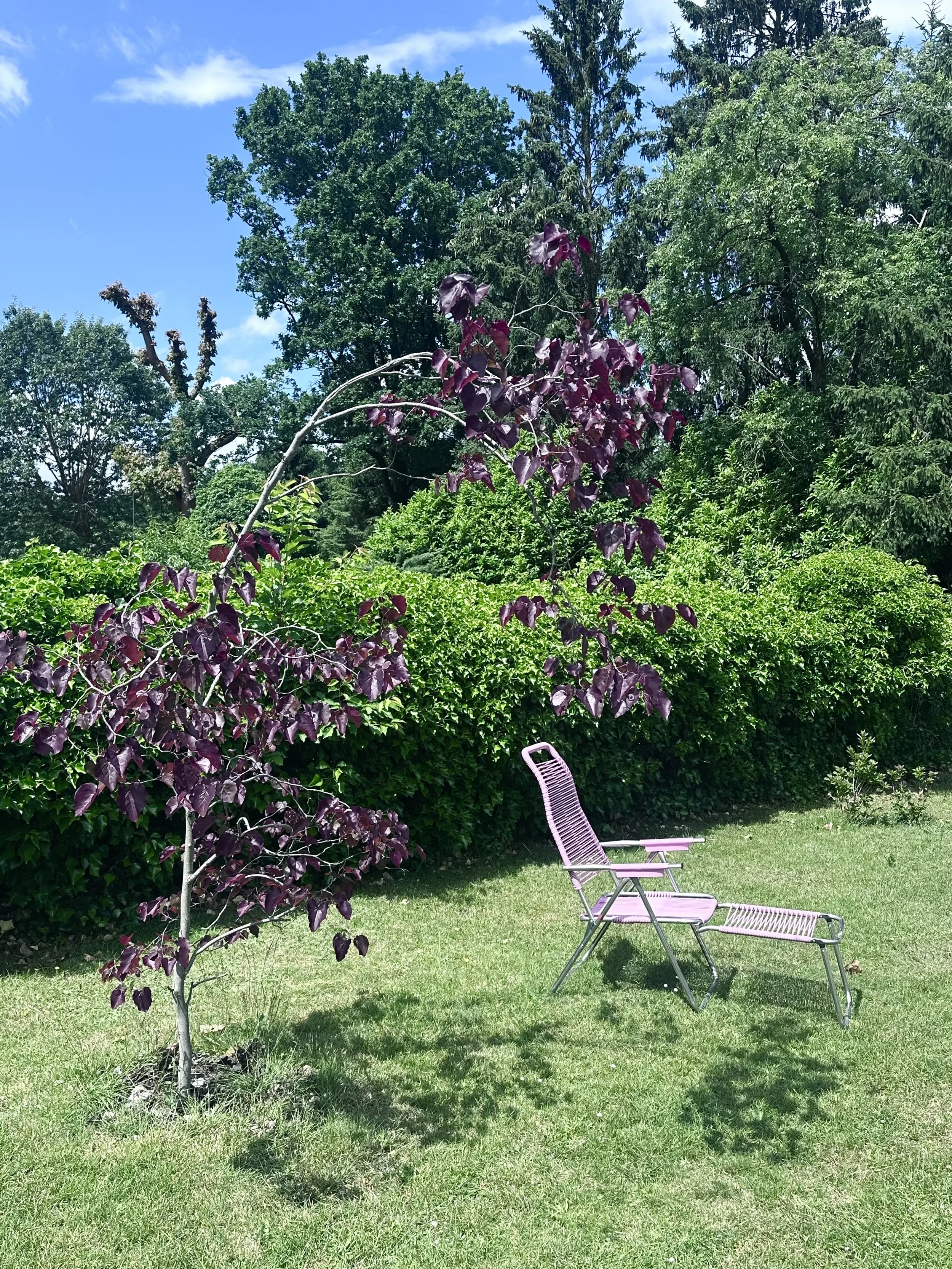 unseen garden 11.jpeg