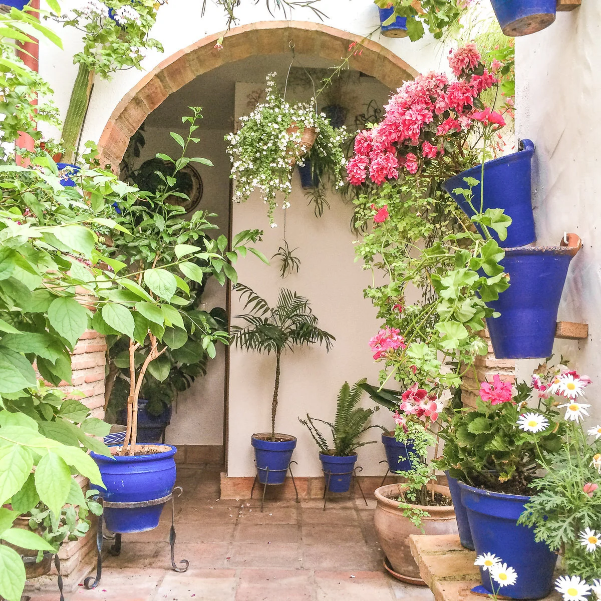 cute archway in cordoba, highlighting flower pots