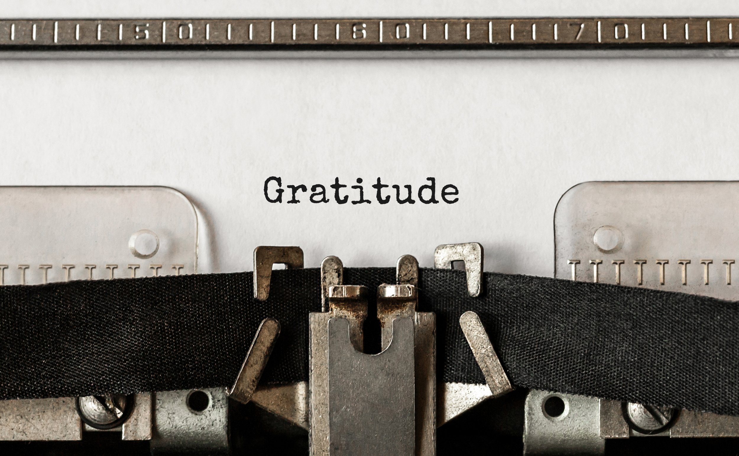 Reflection &amp; Gratitude