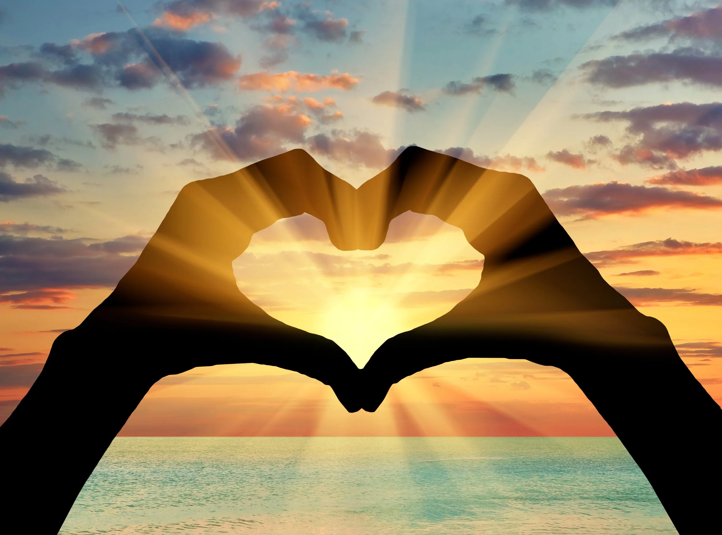 Gratitude with Hospitality